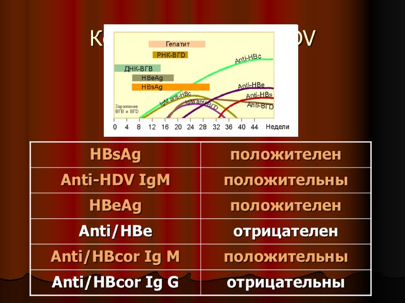 Ко-инфекция HBV/HDV Ко-инфекция HBV/HDV